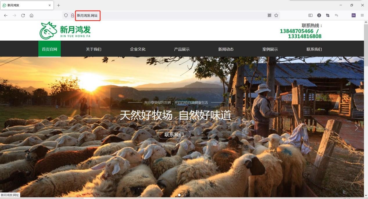 新月鸿发启用中文域名，保护企业品牌