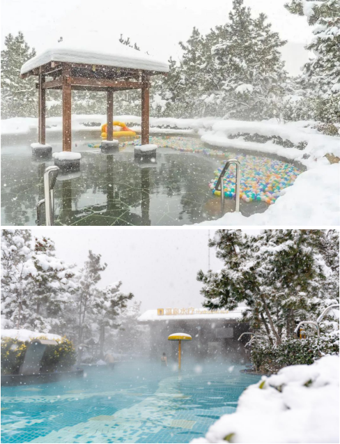 赏天鹅·享健康·泡温泉·玩冰雪·品美食——在那香海赴一场久违的冬日之约
