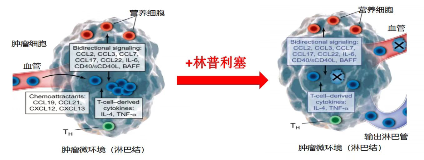 中国首个高选择性PI3Kδ抑制剂林普利塞获批上市，系恒瑞医药对外合作成果