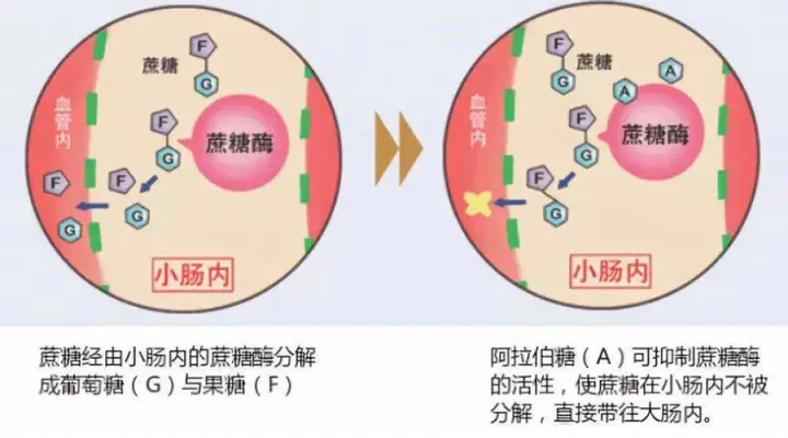 五个女博士是宝藏成分还是“科技与狠活”？