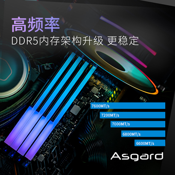 ˹Asgard DDR5 ƵRGB羺ڴ