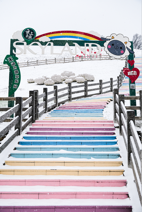 云上草原滑雪场率先开滑，游客-6℃雪中涮火锅