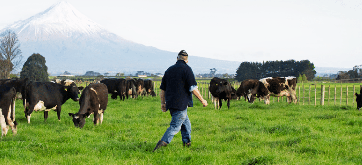 新西兰恒天然：构筑食品安全与品质“护城河”，与世界分享乳制品菁华