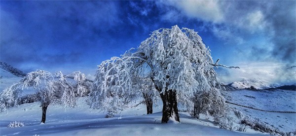 四川宝兴：首届夹金山冰雪旅游节将于12月24日开启