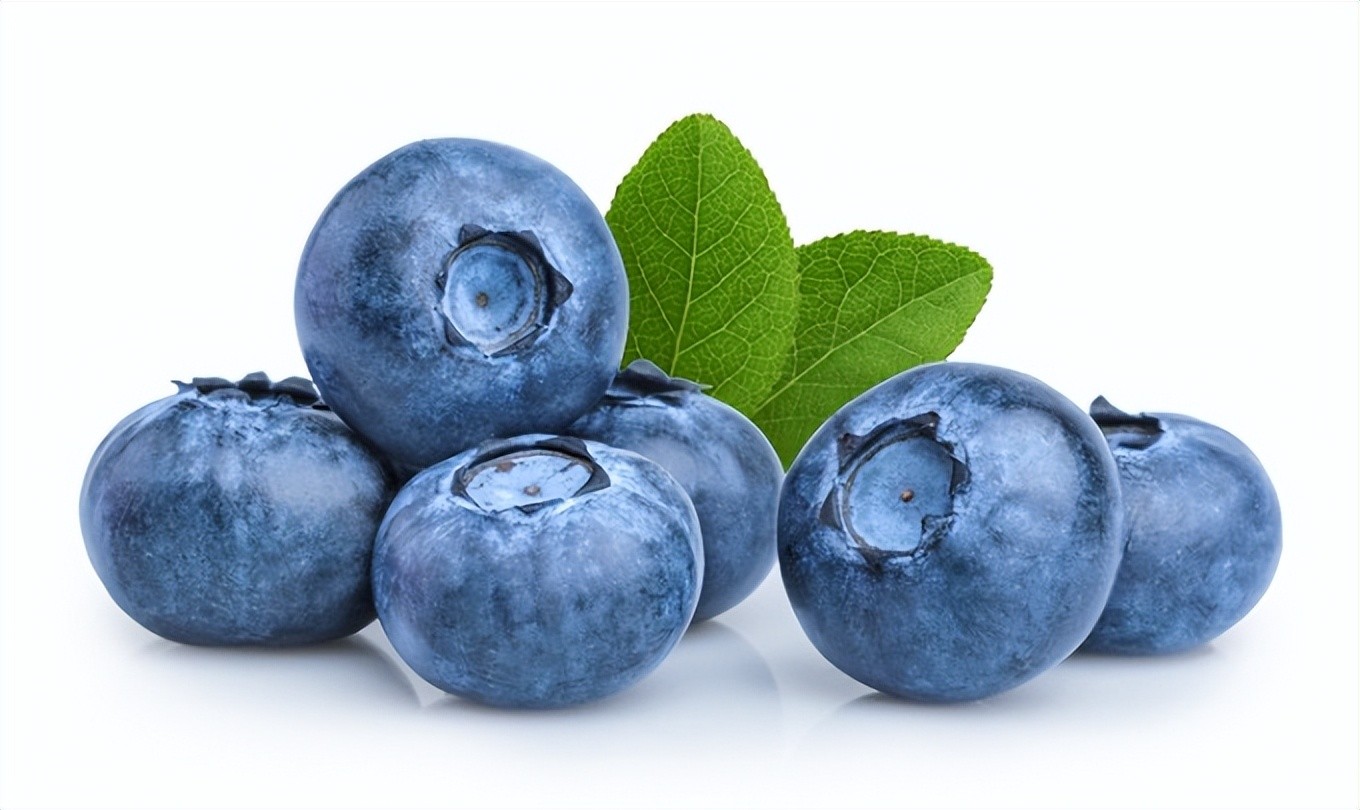 “蓝”得一见，“莓”好常伴，智利蓝莓上市了！