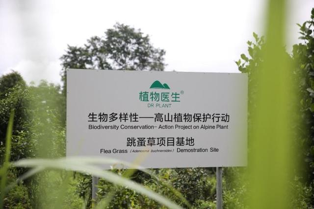 发出生物多样性保护倡议植物医生致力公益传递中国的声音